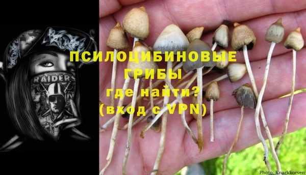 соль ск Абдулино