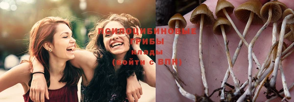 первитин Абинск