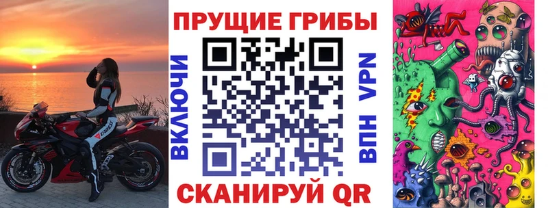 blacksprut как зайти  Кирсанов  Галлюциногенные грибы мицелий 